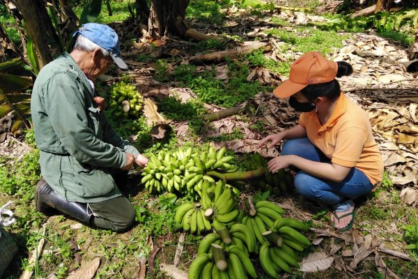 The Borneo Farmer Adoption Project by Fly Technology Agriculture Sdn Bhd assists rural farmers, mainly from Padawan and Kuching to transport their fresh produce to the city while and improving their farming skill sets